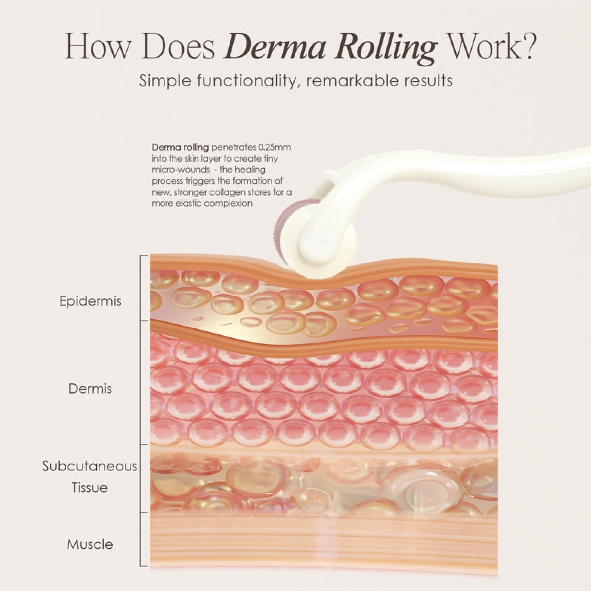Project E Beauty The Derma Roller 540 Titanium Micro Needle